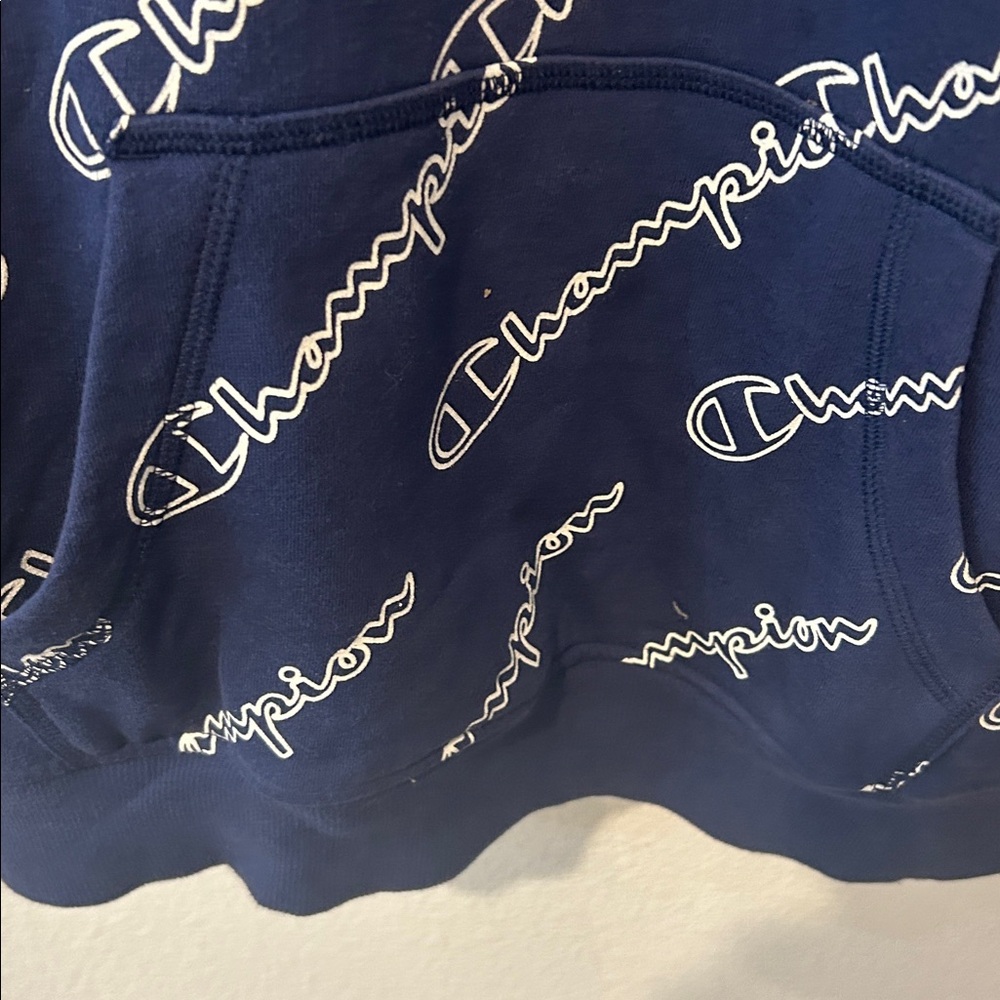 Champion Men's Navy Logo Hoodie - Picture 5 of 5